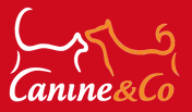 Canine & Co